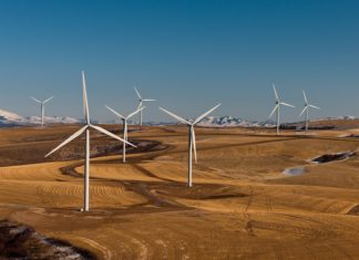 Tafila Wind: An integral approach to biodiversity management