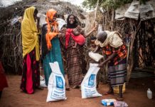 Building waste-to-energy infrastructure in Africa Africa, energy-to-waste, sustainability