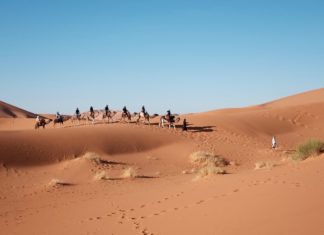 Abu Dhabi deserts to turn into arable land Abu Dhabi, desert, China