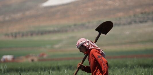 War in Lebanon: The Future of Agriculture and Food Security on the Verge of Collapse Lebanon agriculture