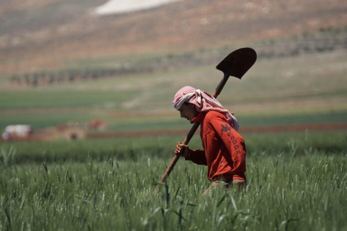 Lebanon agriculture